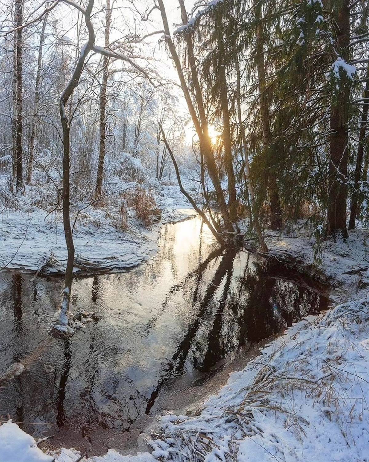 , Петр Косых