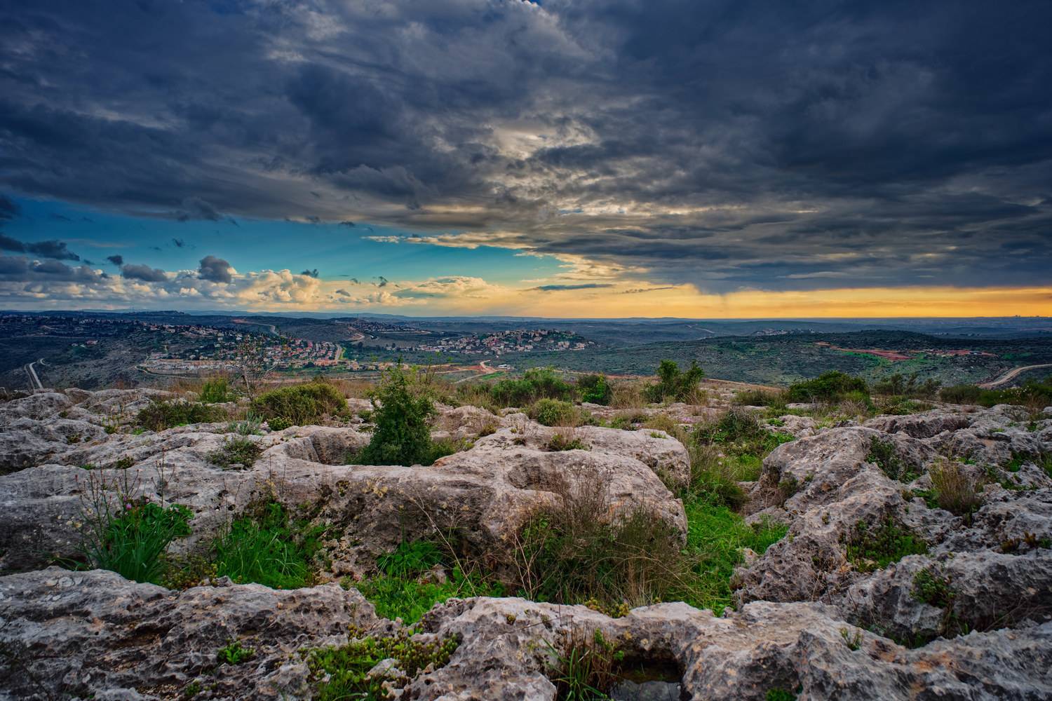 , David Solodar