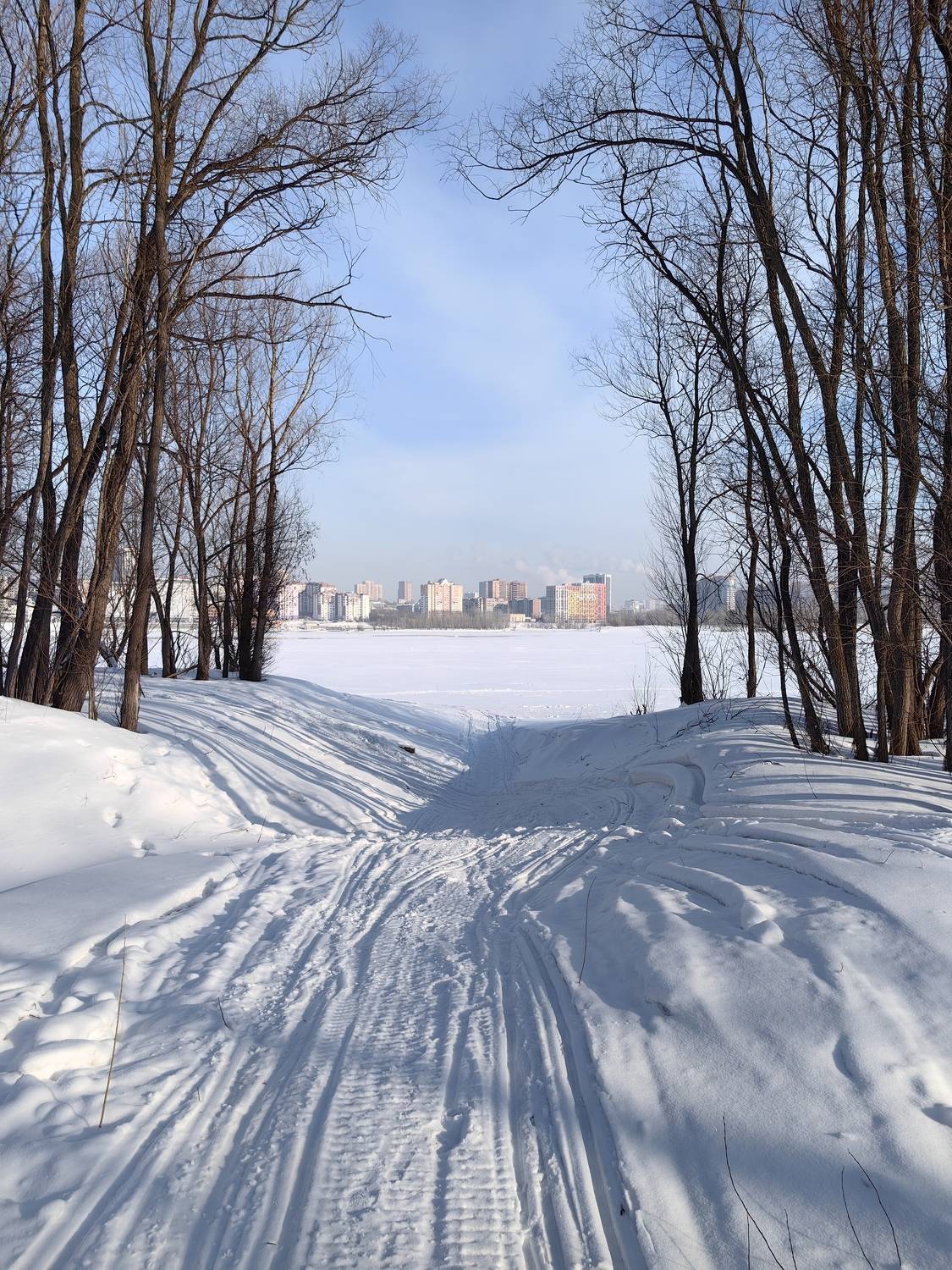 город,пейзаж,новосибирск,зима,деревья,тени,линии, Козлова Галина