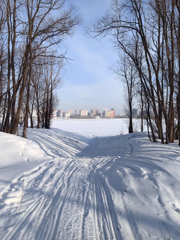 город,пейзаж,новосибирск,зима,деревья,тени,линии Линии на снегу фото превью