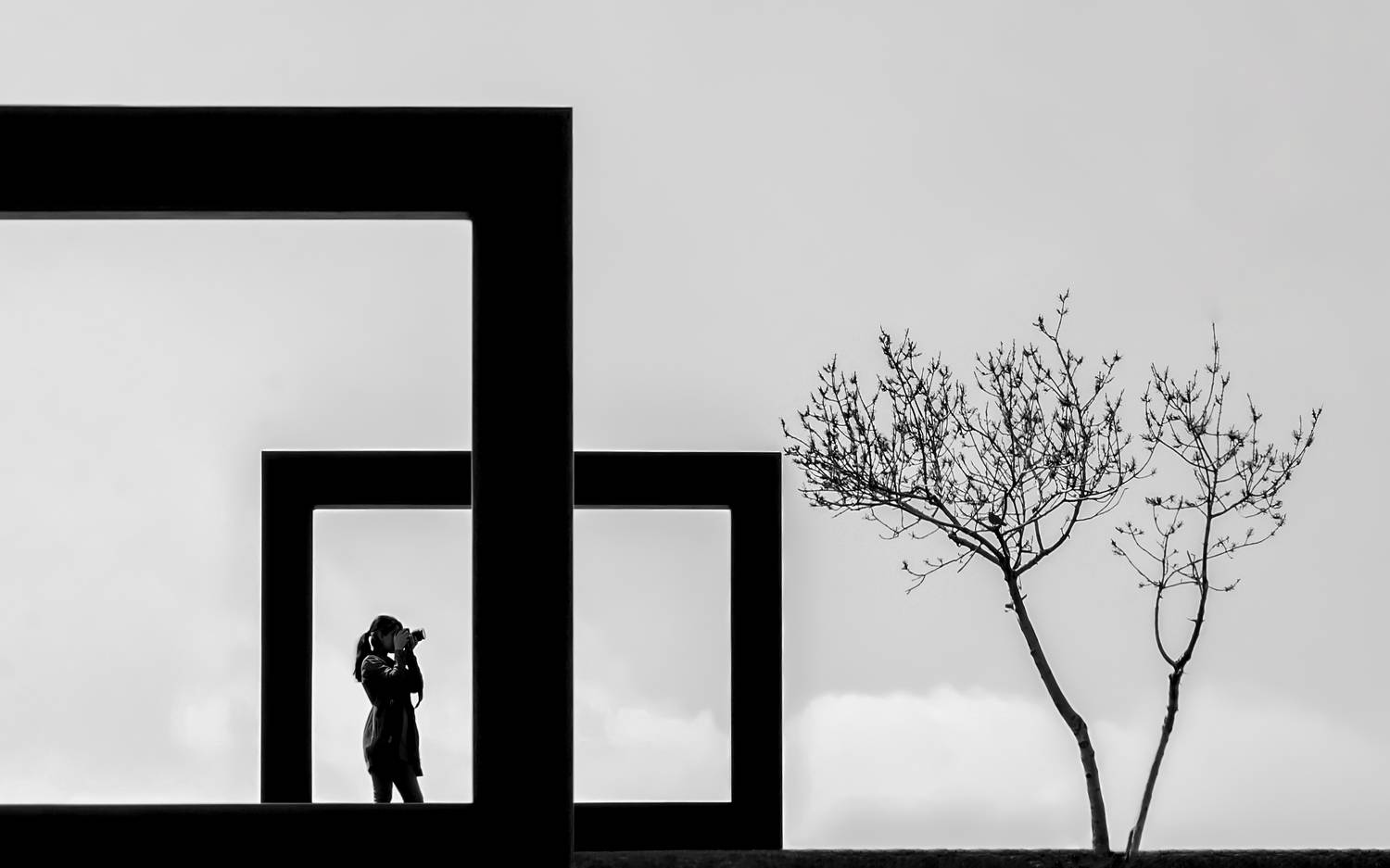 minimal fineart , arastoo qadermazi