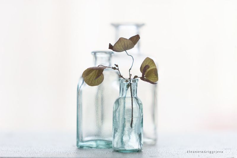 Конец января фото превью