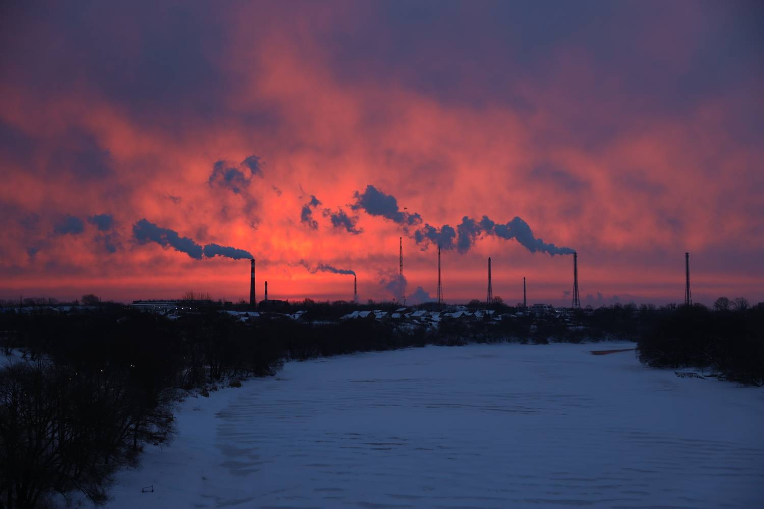 , Колосова Елена