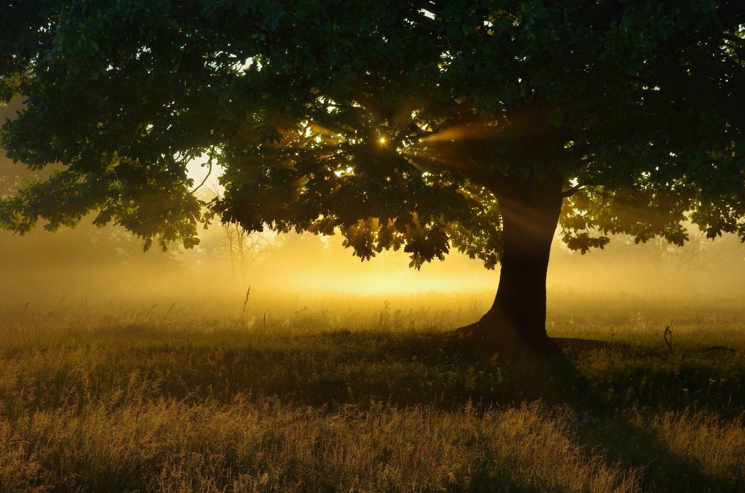 , Шляга Сергей