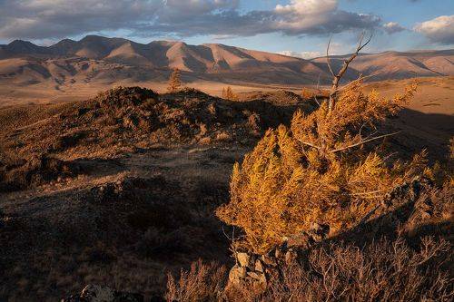 На семи ветрах
