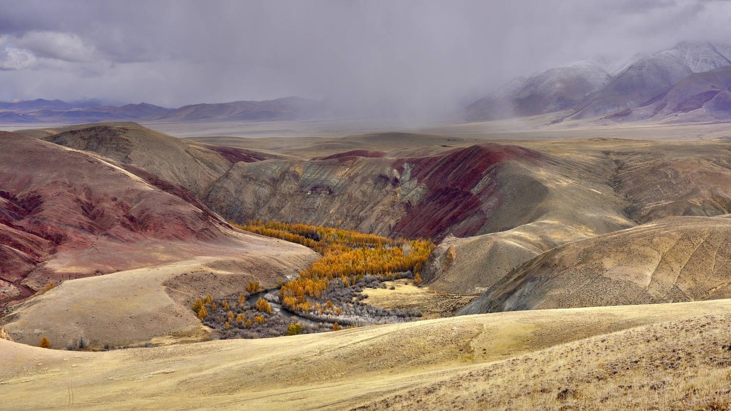 алтай, кош-агач, Кузнецов Андрей