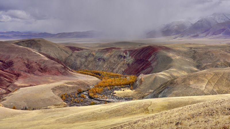 алтай, кош-агач пасмурный Кызылшин фото превью