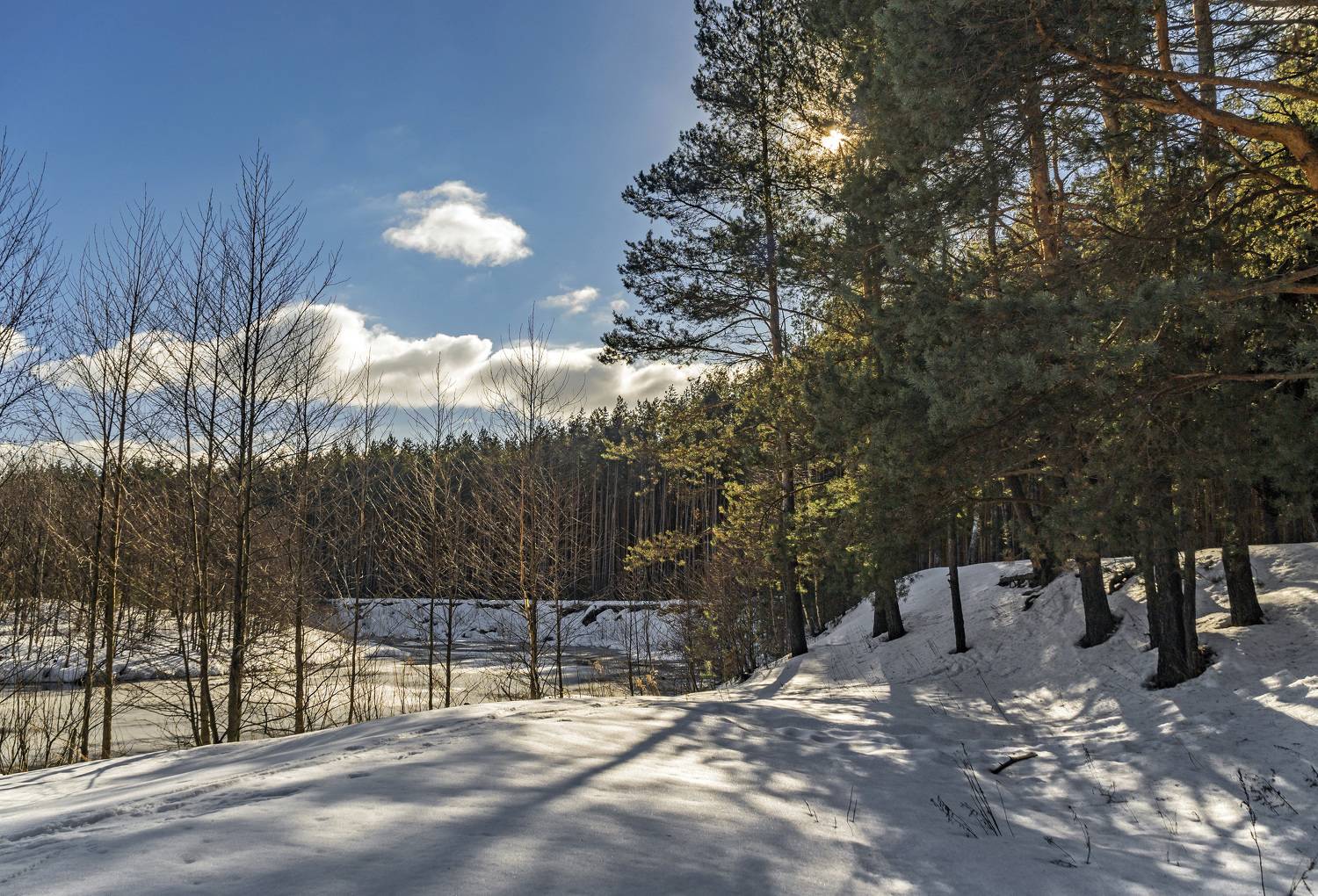 , Шитов Александр