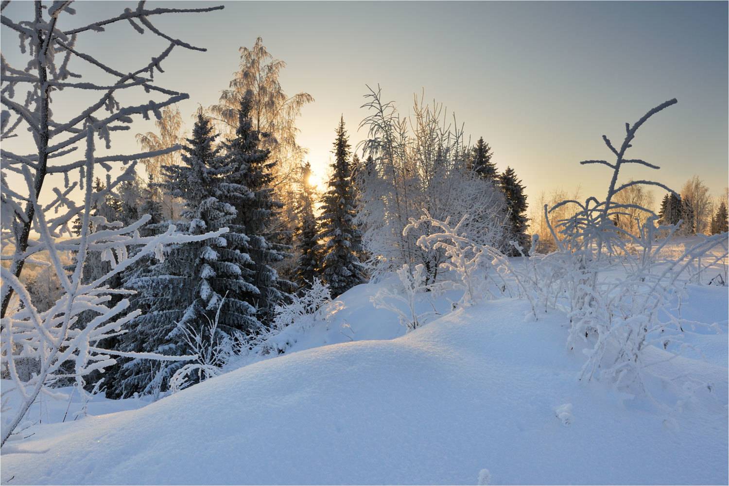 , Анатолий Гулин