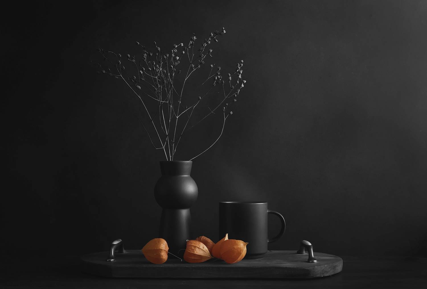 физалис, ваза, натюрморт, чашка, поднос, черно белое, оранжевый, Стасов Виталий