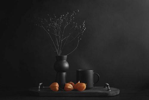 Черно белое и оранжевый физалис