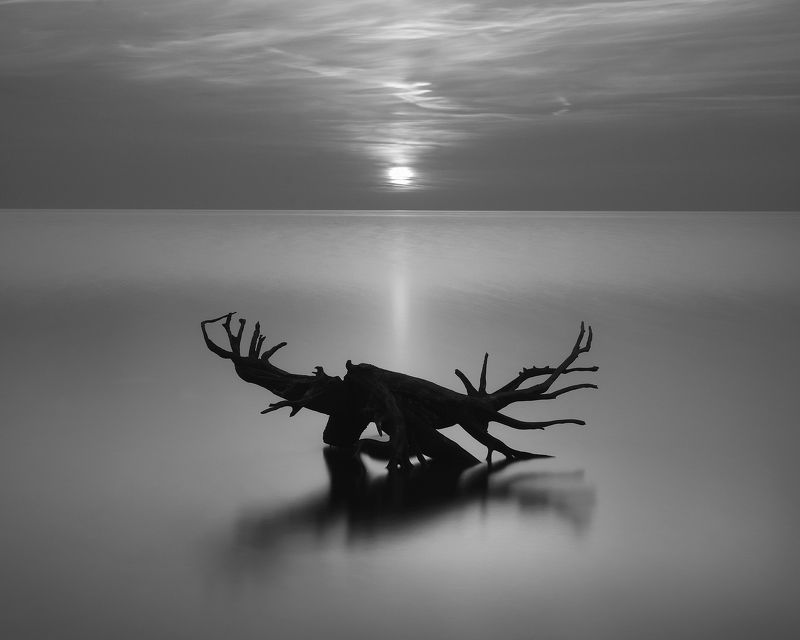 Rybinsk zen фото превью