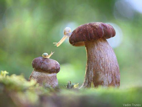 Притяжение