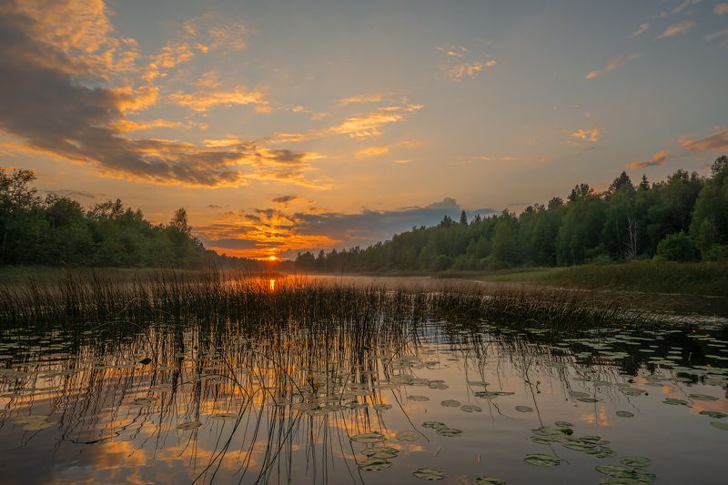 великий двор,вологодчина,кема,север Вечерняя Кема фото превью