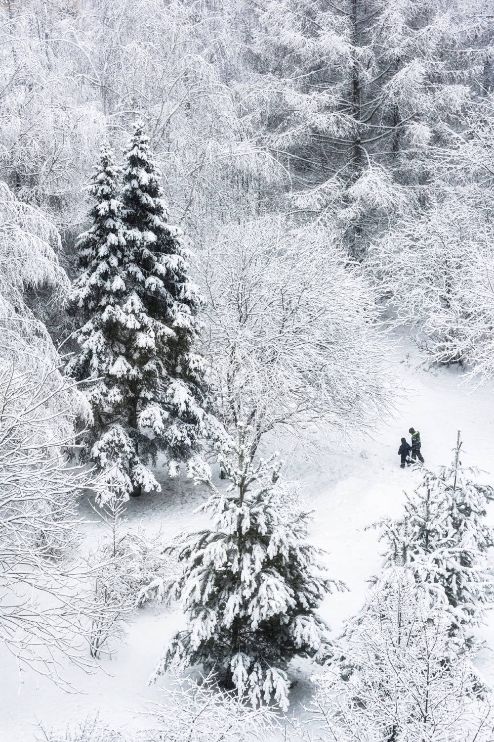 иней, люди, дорожки, Владимир Штыриков