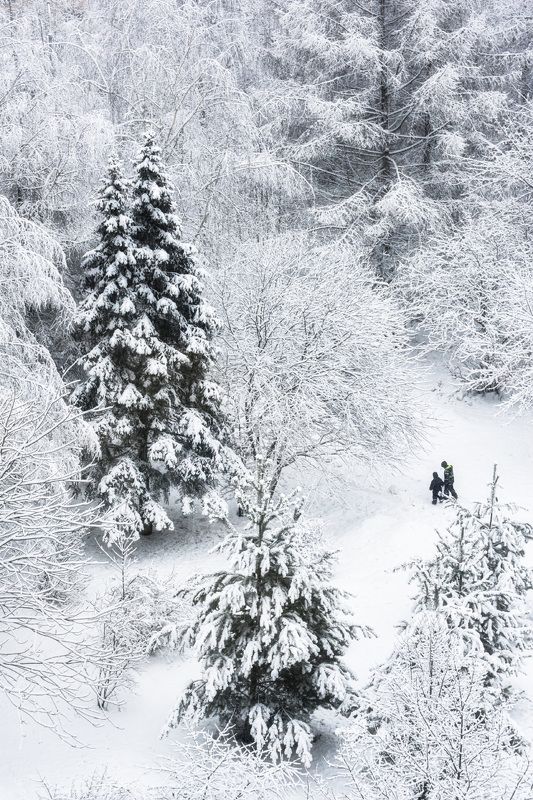 иней, люди, дорожки Прогулка фото превью