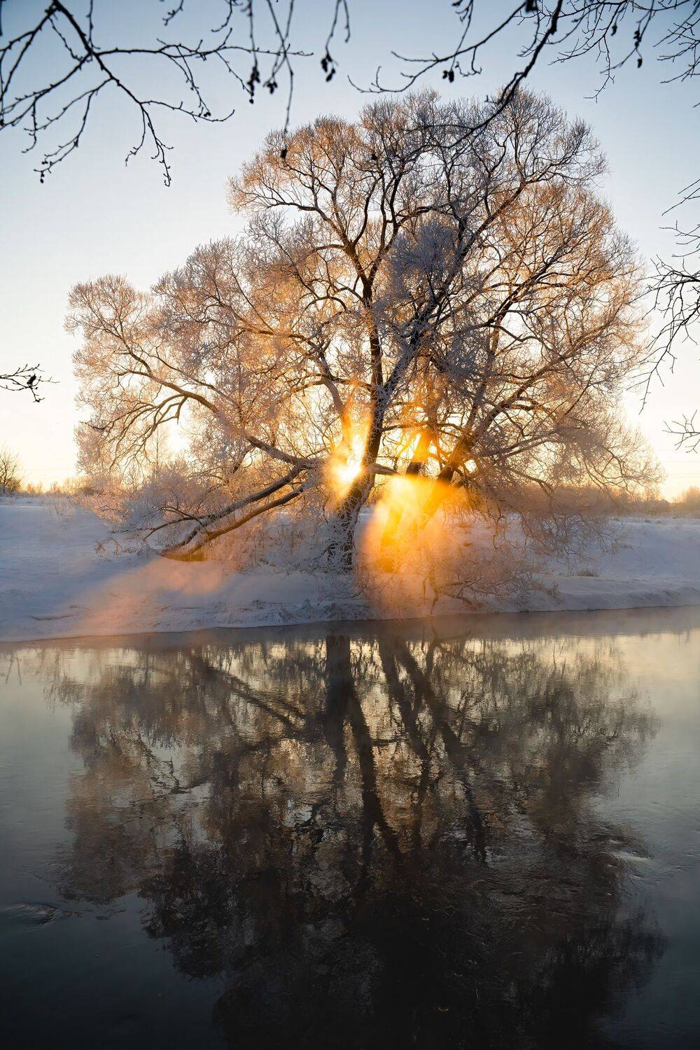 , Илья Марченко