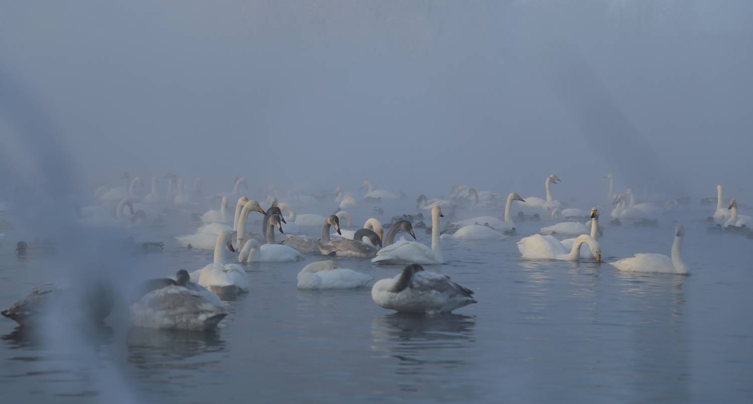 , Евгений Зинов