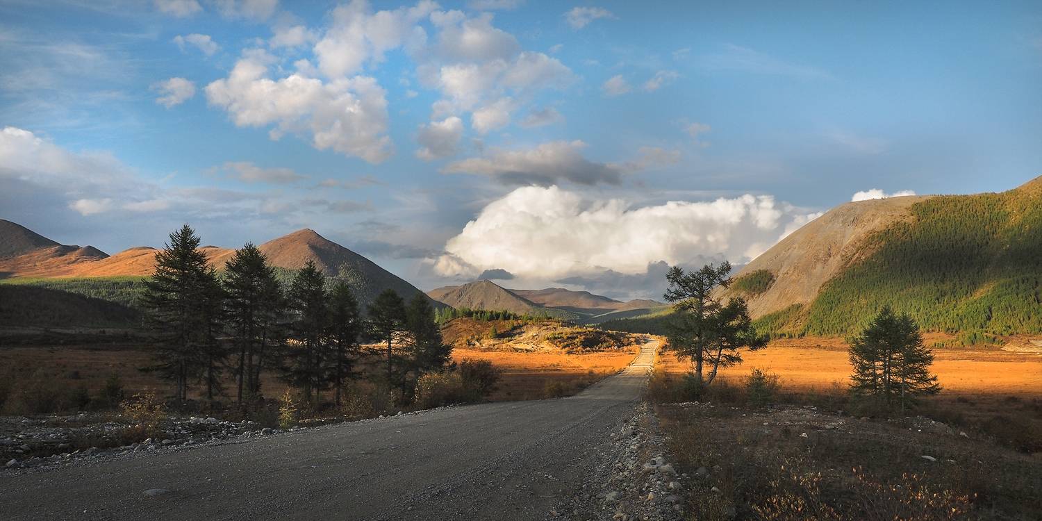 , Александр Попов