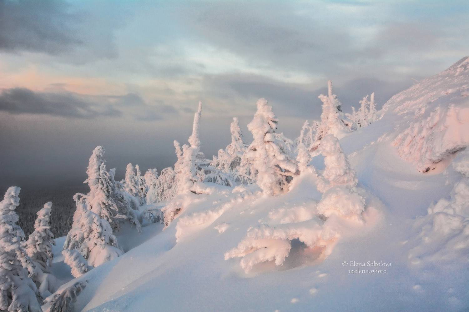 помяненный камень, колчимский камень, зимний пейзаж, закат, северный урал,, Соколова Елена