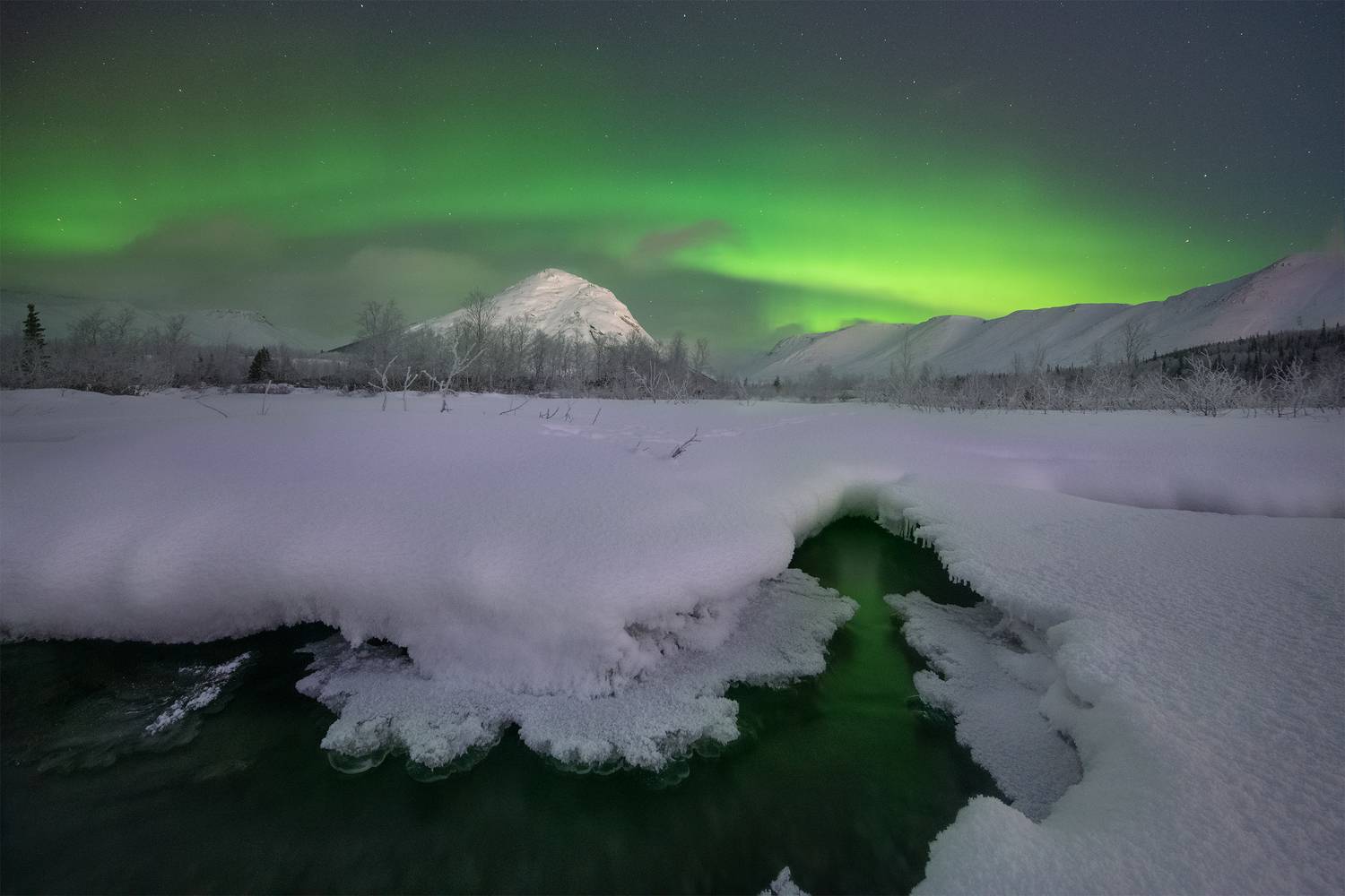 , Елена Ермолина