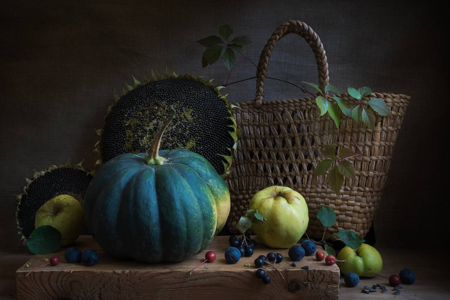 , Колеснева Елена