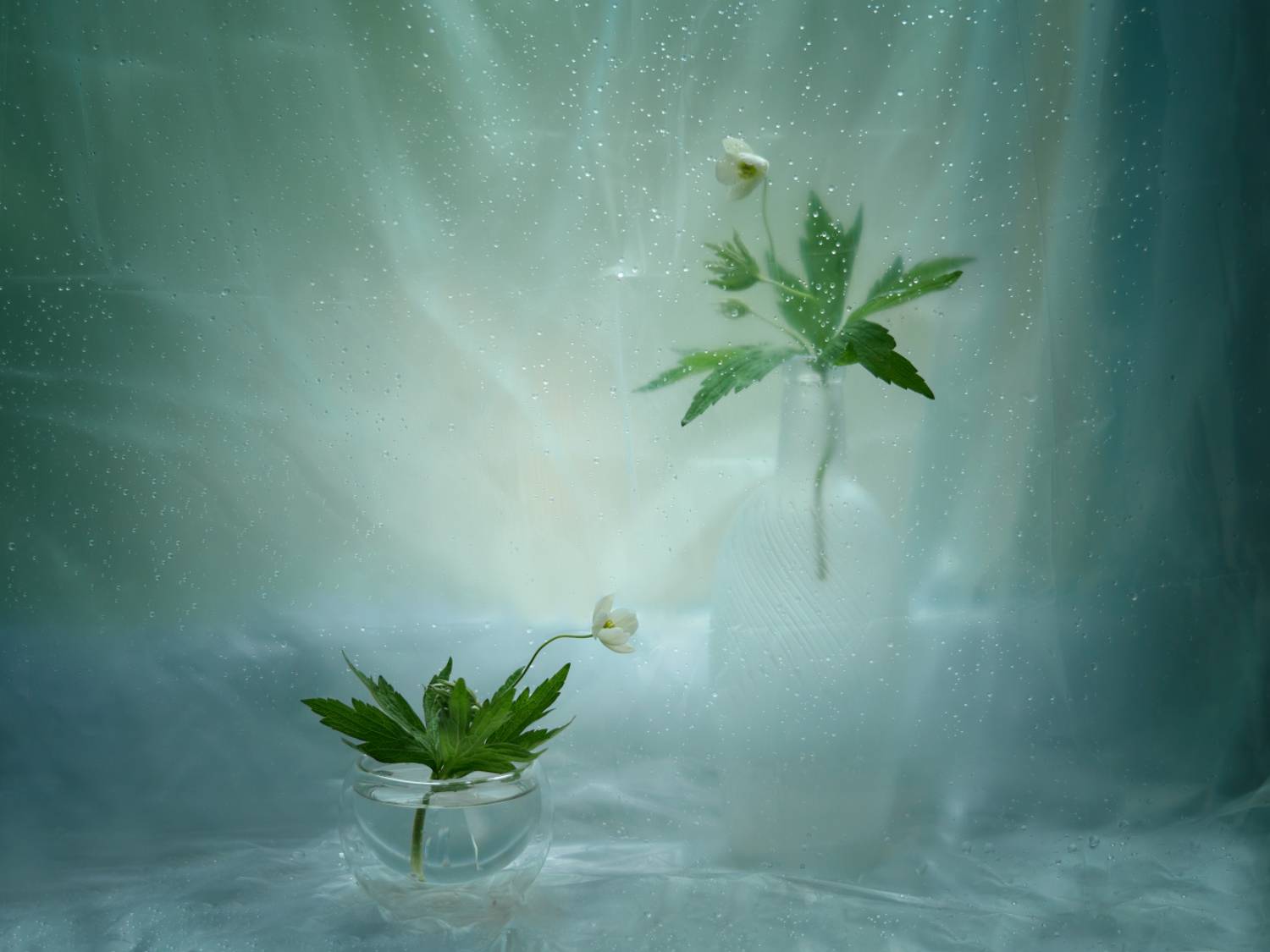 , Ирина Заколдаева