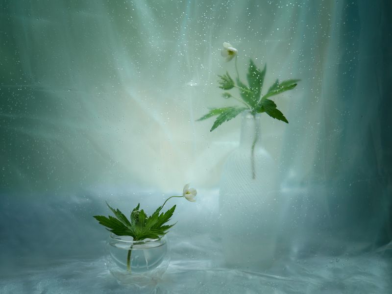 Разделённые... фото превью