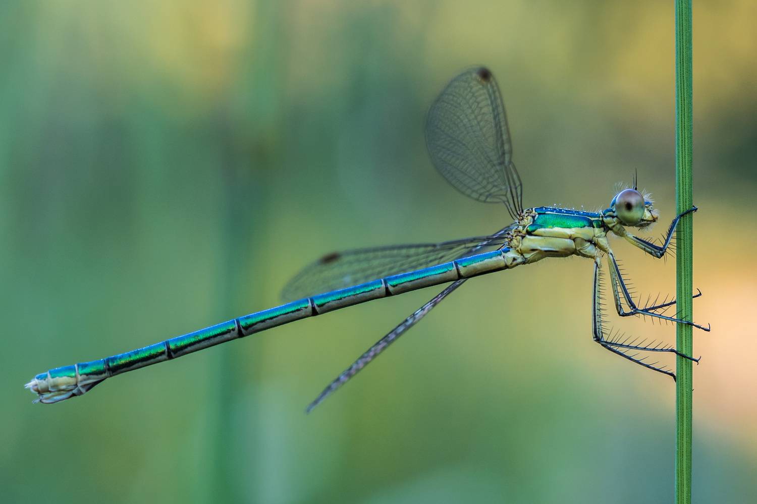 , Зайцев Роман