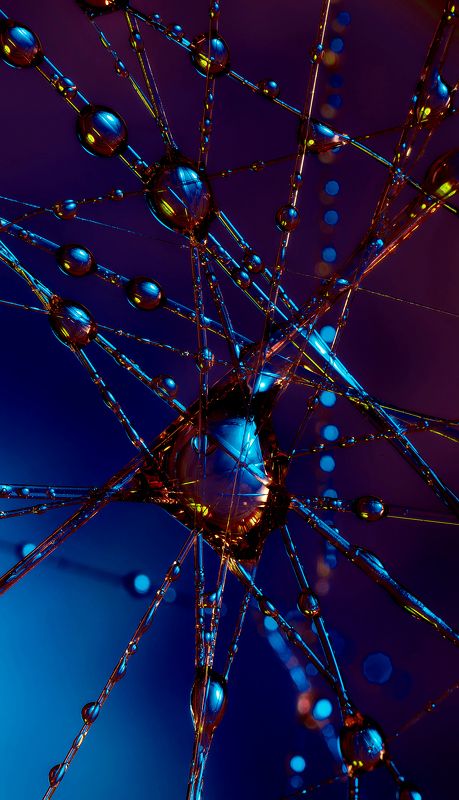 Макрокосмос фото превью