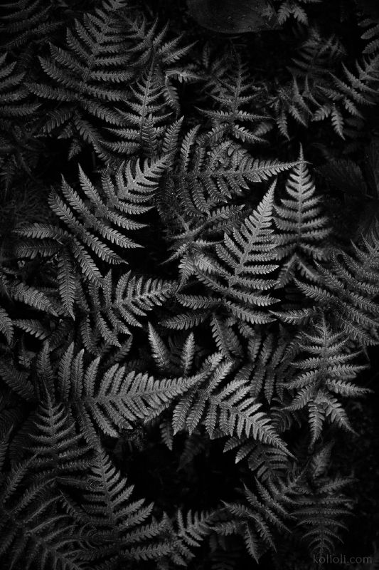 чб, текстуры, intimate landscape Звёздная пыль фото превью