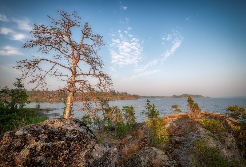 Ладога фото превью
