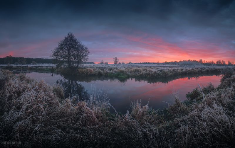 шерна, река, владимирская область, мороз, осень, рассвет Рассвет на Шерне фото превью