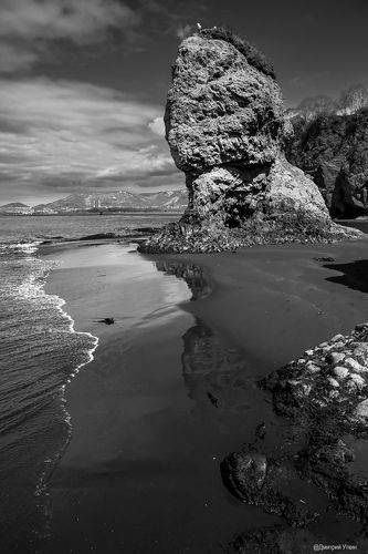 Чёрно-белая Камчатка