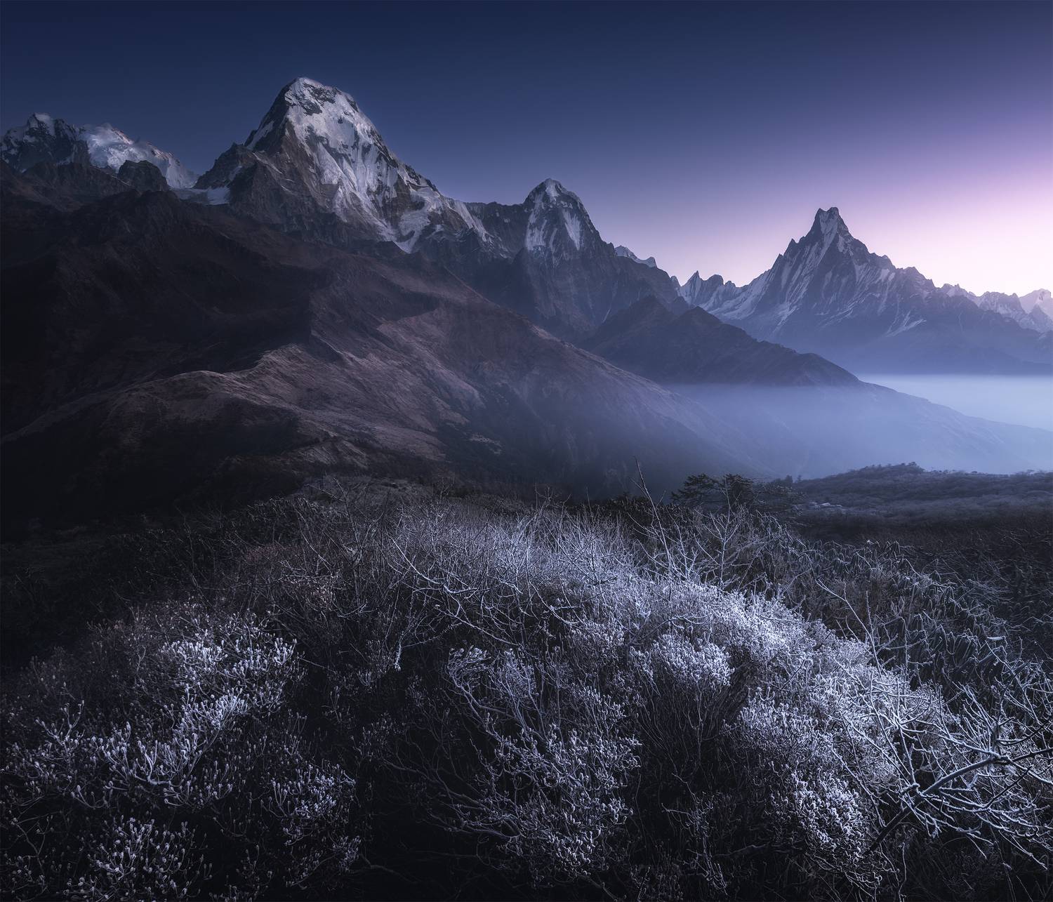 , Политова Анна