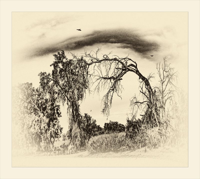 из серии -затерянный мир- фото превью