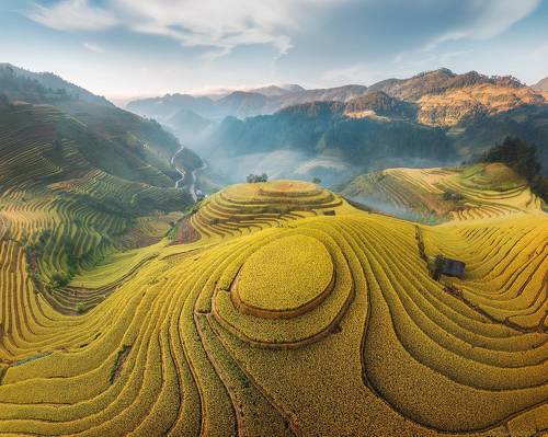 Vietnam
