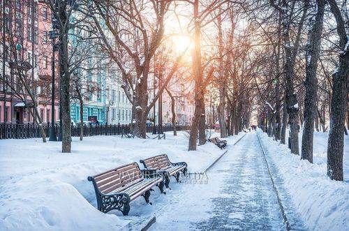 Пушкинский дуб на Тверском бульваре