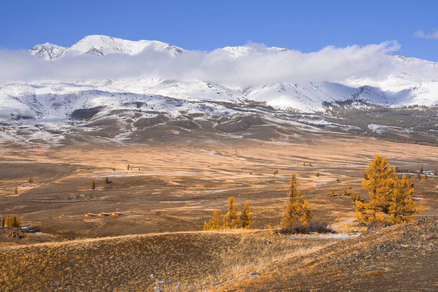 россия, горный алтай,курайская степь,осень, Андрей Поляков