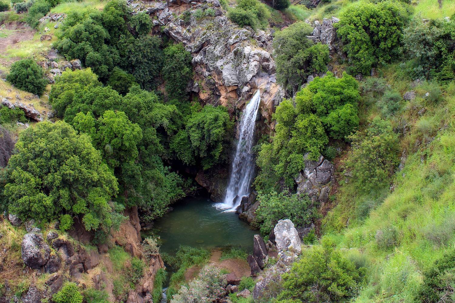, Вадим Городницкий