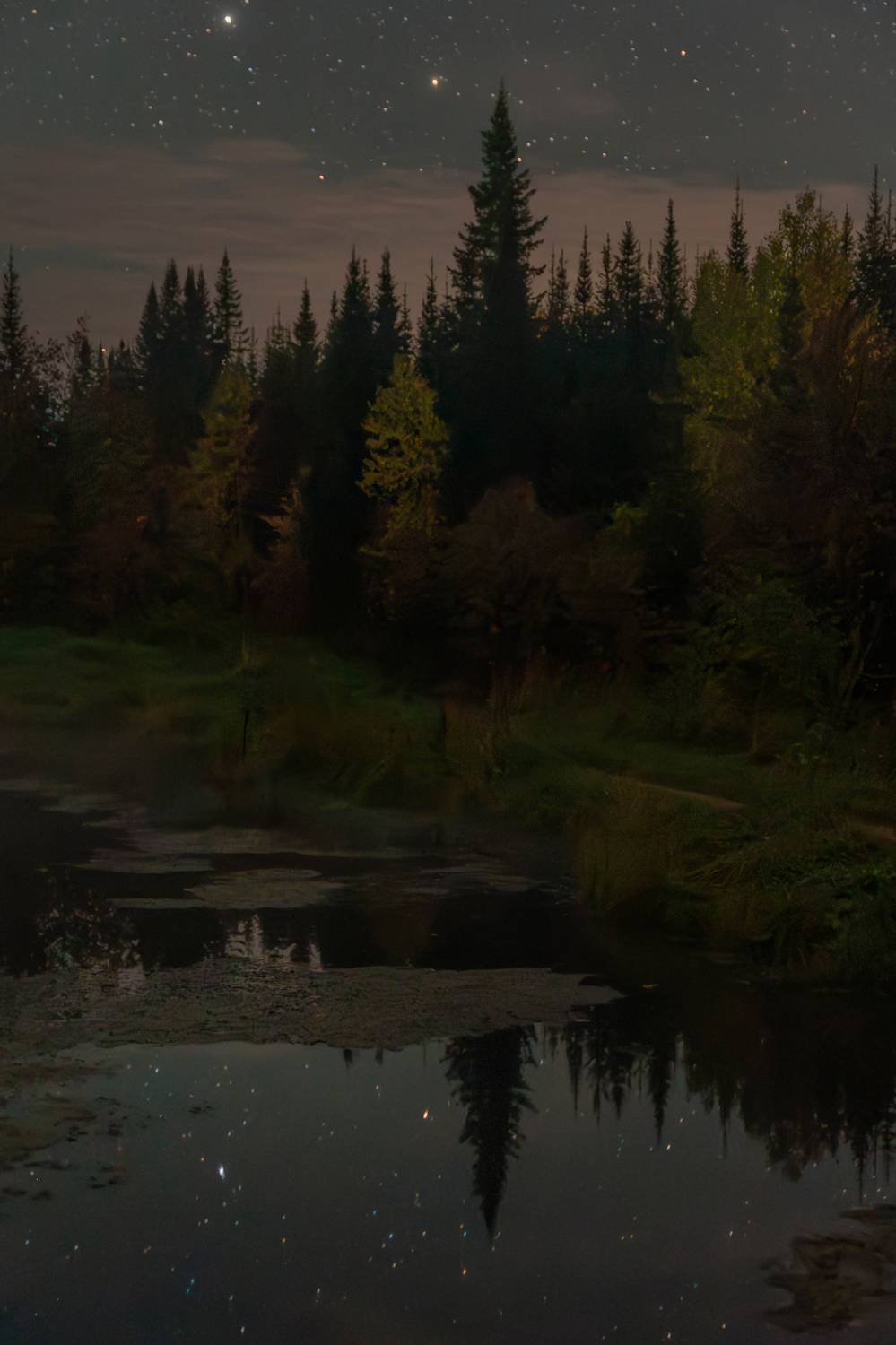 ночь, звезды, тайга, night, stars, taiga, siberia, сибирь, красноярский край, Кудашкина Ксения