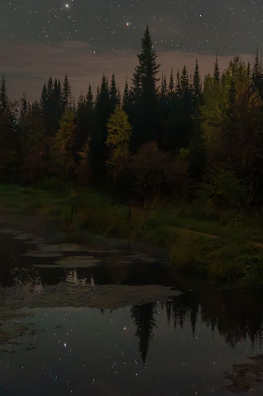 ночь, звезды, тайга, night, stars, taiga, siberia, сибирь, красноярский край Таежная осень фото превью