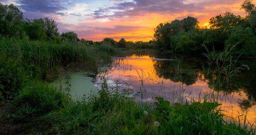 Вспомнился летний вечер