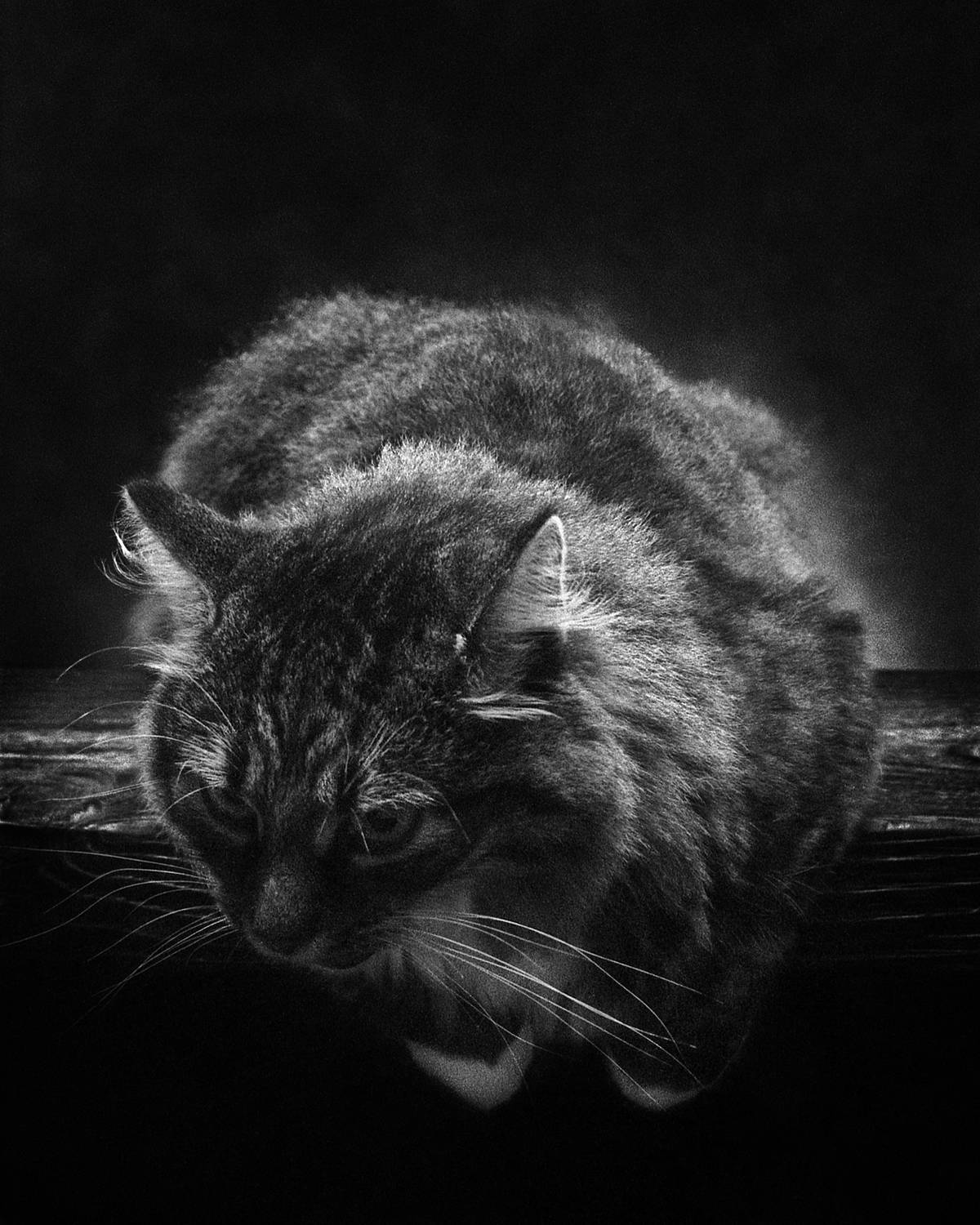 , Сизов Кирилл