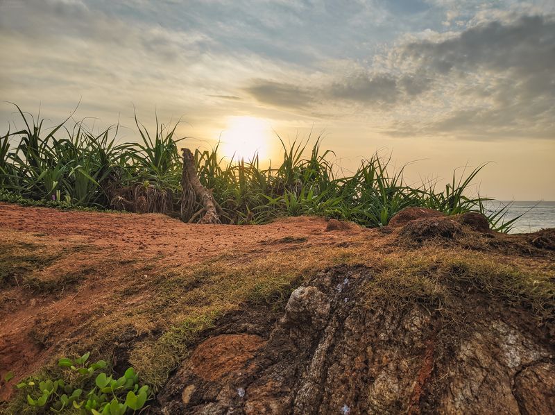 *** фото превью