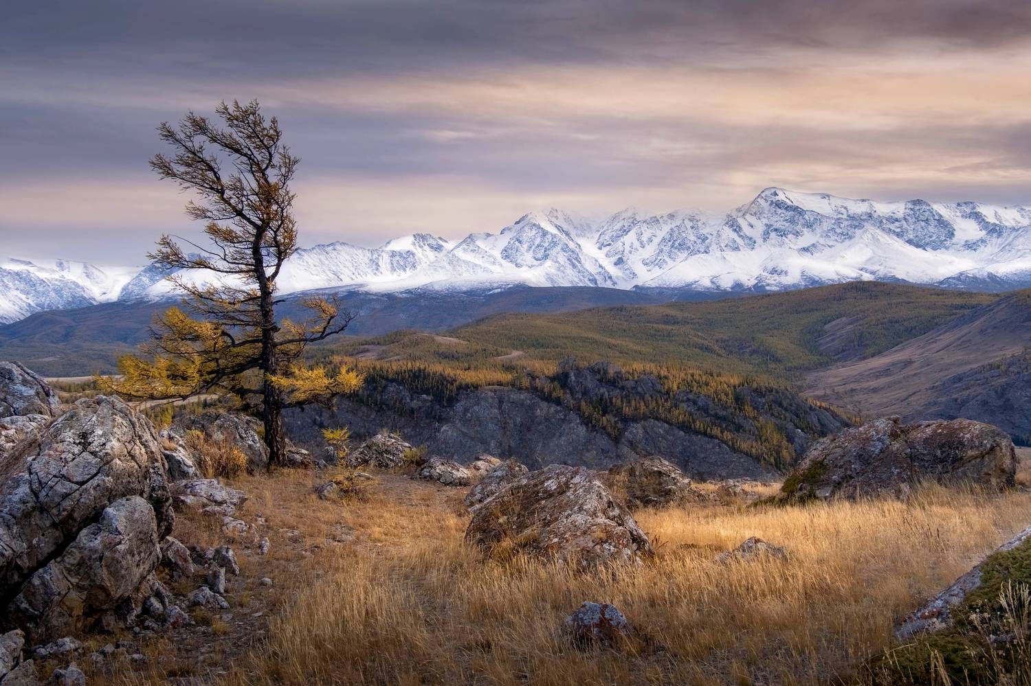 осень на алтае, республика алтай, russia, горный алтай, курайская степь, урочище таджилу, алтай, нд, осенний алтай, фототур на алтай, kurai steppe, altai, photo tour to altai, золотой алтай, золотой алтай нд, осень, что такое осень?, Демкина Надежда