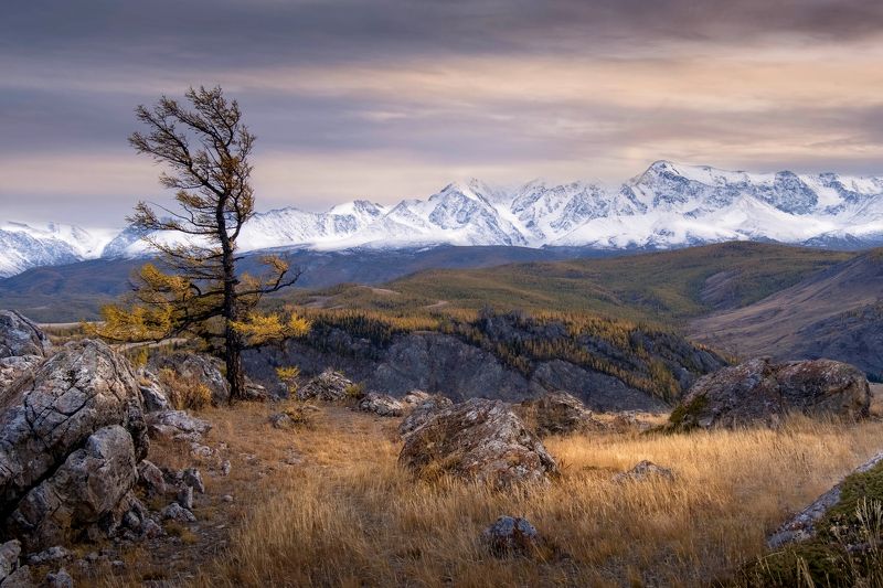 осень на алтае, республика алтай, russia, горный алтай, курайская степь, урочище таджилу, алтай, нд, осенний алтай, фототур на алтай, kurai steppe, altai, photo tour to altai, золотой алтай, золотой алтай нд, осень, что такое осень? Алтайские мотивы фото превью