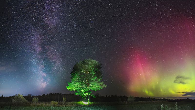 В свете Авроры фото превью