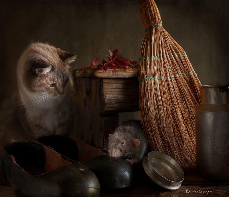 Кошки-мышки фото превью