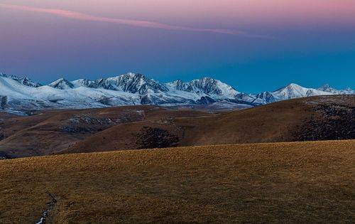 Розовый свет